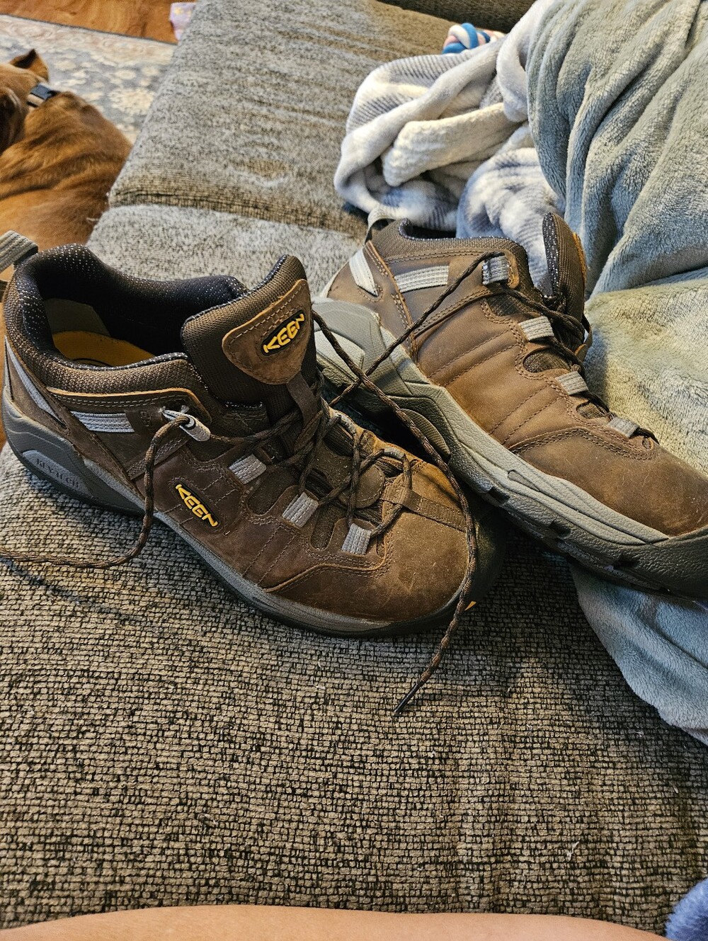 Mens Steel Toe Shoes - Picture 2 of 3
